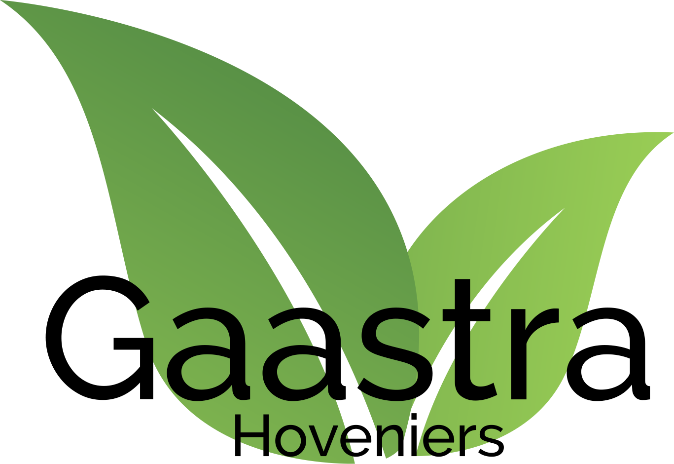 logo (1)