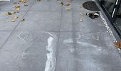 Witte aanslag en uitslag op betontegels verwijderen