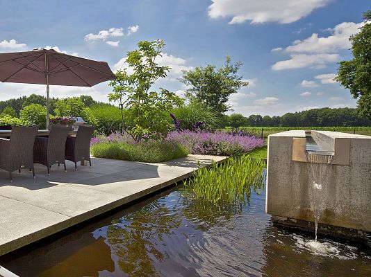 Diervriendelijke tuin
