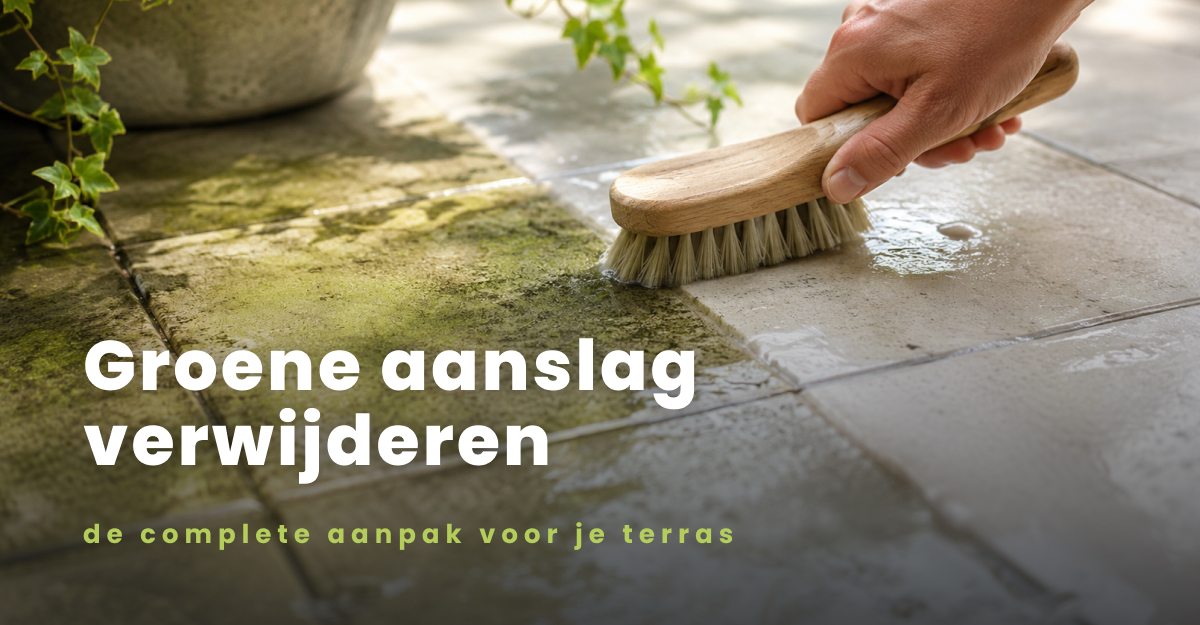 Groene aanslag Hegsteen