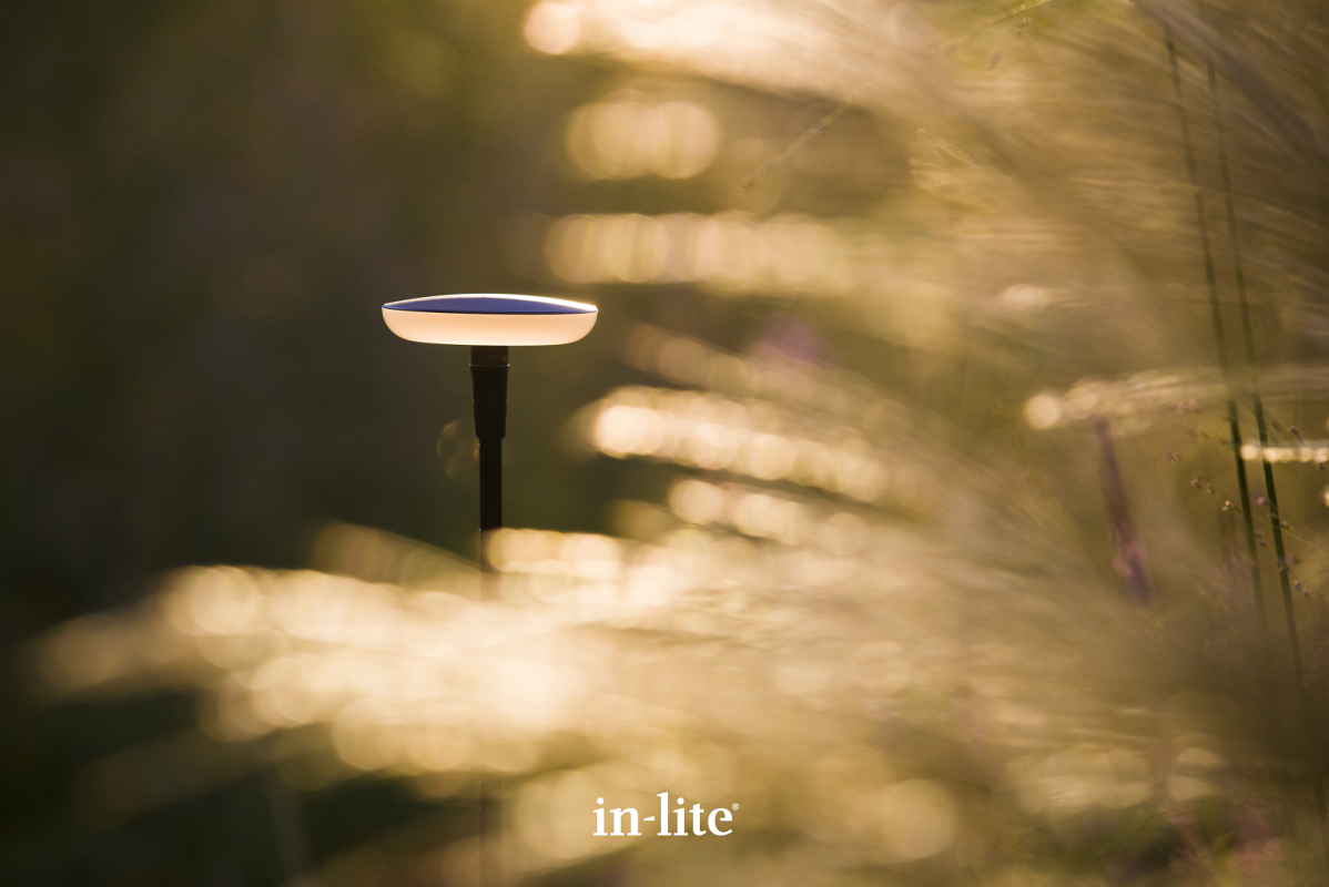 In-lite SWAY