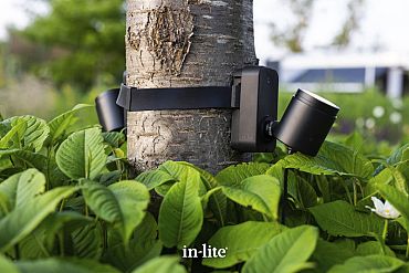 BRACE BAND