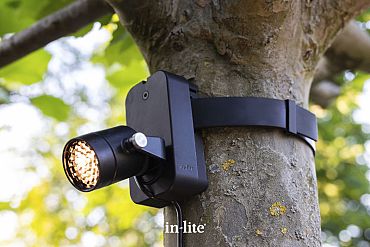 BRACE BAND