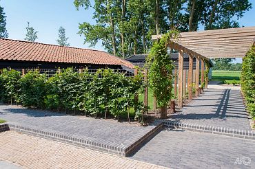 Clayville Antwerpen Getrommeld 200x48x60 mm Bezand