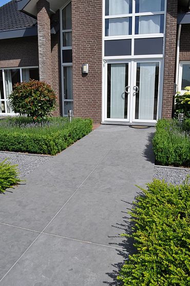 Spotted Bluestone Met facet 100x100x3 cm Gezoet