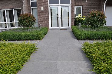 Spotted Bluestone Met facet 60x60x3 cm Gezoet