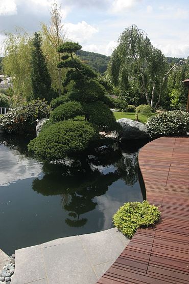 Bangkirai 45x90mm v-groeven P500 Premium FCQ