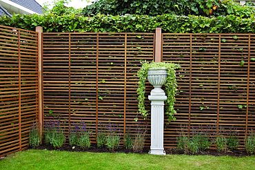 Keruing trellis 24 Chinon 180x180cm Premium FCQ FSC®100% FSC®-C003450