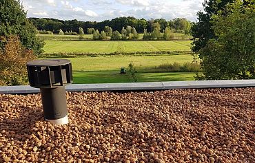 Hele perziksteen - Bigbag 0,5 kuub/500 liter