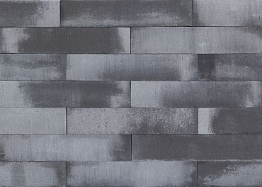 Patioblok Grijs/Zwart 60x12x12cm strak