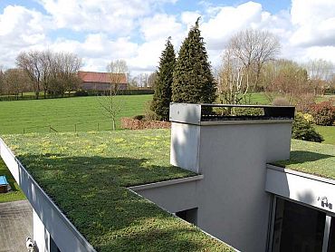 FirmusSEDUM Dakgroencassette 49,5x46x8 cm