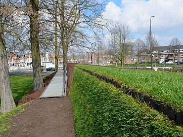 FirmusGRASS E45 100x100x4,5cm kant en klare Grastegel