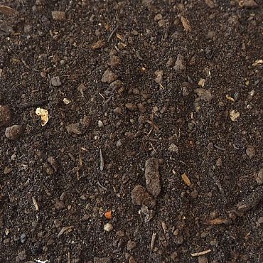 Bomenvoedingsgrond - 2 kuub