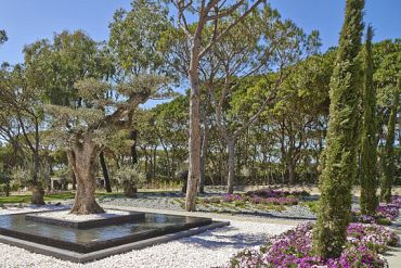 Zak 20 kg Carrara grind 40-60 mm Rond getrommeld