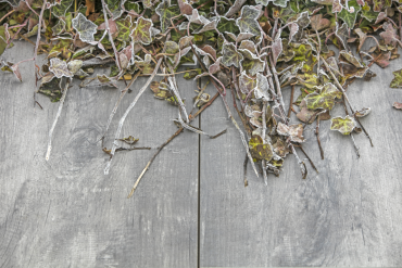 GeoCeramica® 80x40x4 Timber Grigio