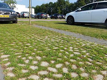 Keigrassteen WaterWijs 45x45x10 cm grijs