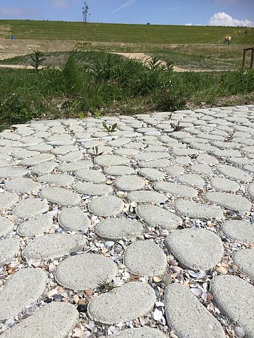 Keigrassteen WaterWijs 45x45x10 cm grijs