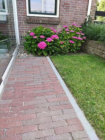 Betonband 6x15x100 grijs