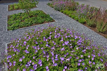 Zak 20 kg Ardennersplit grijs 14-20 mm Breuksteen