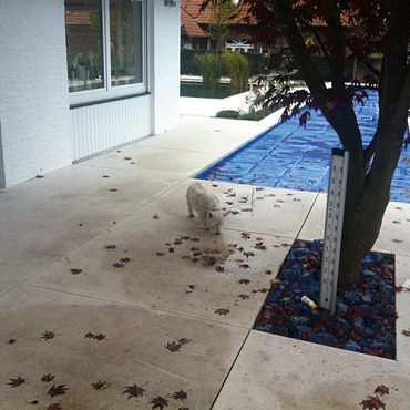 Varistone Keramiek Tegelreiniger 1 liter flacon