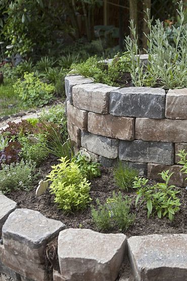 Promo Wall Kilimanjaro 17/24x15x10cm