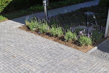 Paving Line Vietnamese Hardsteen 20x5x5 cm Soft finish