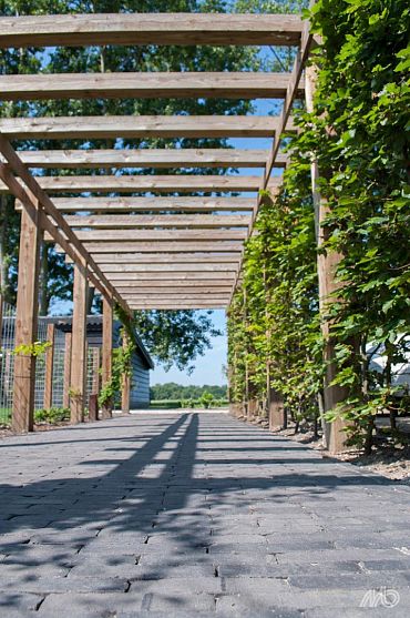 Clayville Antwerpen Getrommeld 200x48x60 mm Bezand