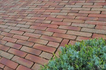 Clayville Hasselt Getrommeld 200x48x60 mm Bezand