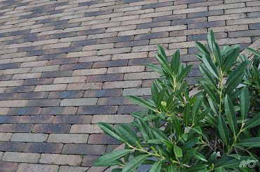 Clayville Maastricht Getrommeld 200x48x60 mm Bezand