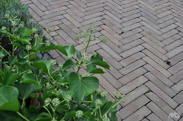 Clayville De Panne Getrommeld 200x48x60 mm Bezand