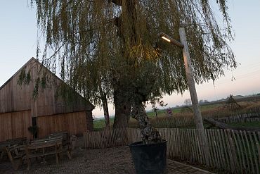 ALTO - 180/200x3100mm + 900mm ingraven - Kastanje - Amber - Kabel