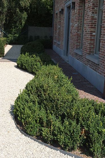 Ecolat Grijs rol 14cm x 7mm 25m