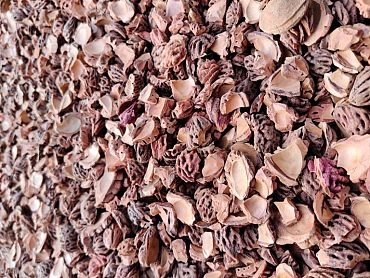 Gebroken perzikstenen - 20 liter zak