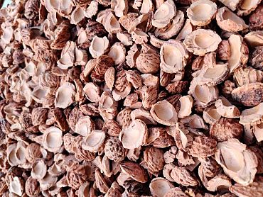 Halve perziksteen - Bigbag 0,7 kuub/700 liter