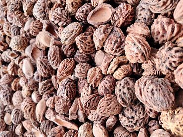 Hele perziksteen - Bigbag 1 kuub/1000 liter