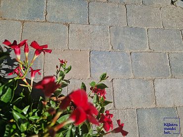 Stonique trommel 20x30x6 cm musselkalk