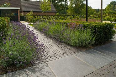 Gebakken DF60 terra carbona antica zwart