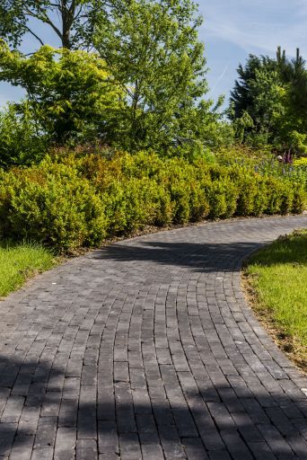 Gebakken DF60 terra lucca antica zwart zz