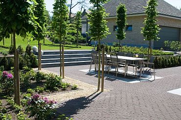 Gebakken DF80 violetto paars-bruin