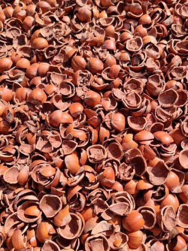 Hazelnootdoppen - Bigbag 0,5 kuub/500 liter