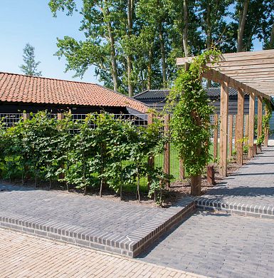 Gebakken Clayville Antwerpen