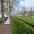 FirmusGRASS E45 100x100x4,5cm kant en klare Grastegel