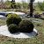 Zak 20 kg Carrara grind 15-25 mm Rond getrommeld