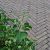 Clayville De Panne Getrommeld 200x48x60 mm Bezand
