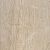 GeoCeramica® 60x60x4 Bresscia Beige