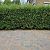 Betonstraatsteen 6 cm oud bussum komo