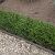 Ecolat Grijs recht 19cm x 10mm 2m