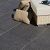 GeoCeramica® 60x60x4 BB Stone Black