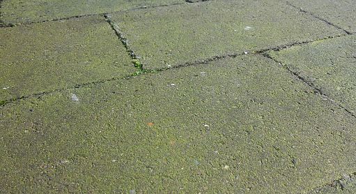 Groene aanslag verwijderen