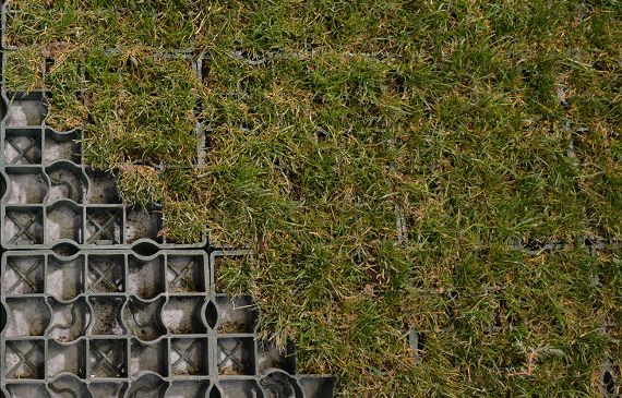Ecoraster